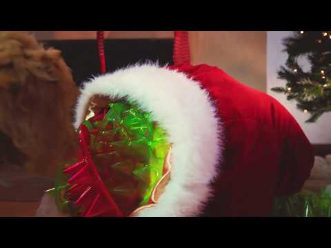 Floppy Spike™ The Ultimate Dog Frisbee Gift for Dogs in 2018