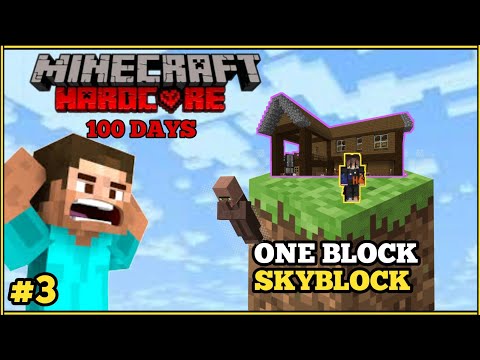 Barn & Storage Room Build: Minecraft OneBlock #3