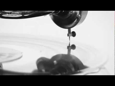 WTF! - Da Bop (VideoDJ RaLpH)