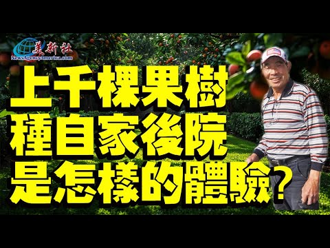 一千多棵果樹種自家後院，他一個人是如何做到的？
