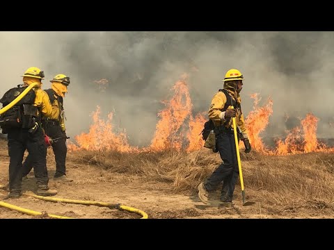 download lagu mp3 mp4 Santa Rosa News, download lagu Santa Rosa News gratis, unduh video klip Santa Rosa News