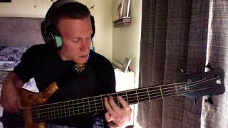 T &amp; P Combo- 311- Bass Cover