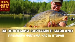 ЗА ЗОЛОТЫМИ КАРПАМИ В MARILAND. Часть вторая.