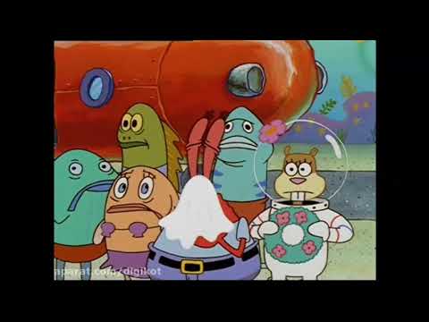 Spongebob Squarepants You're Bald (Persian)