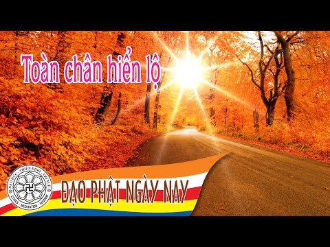 12. Toàn chân hiển lộ