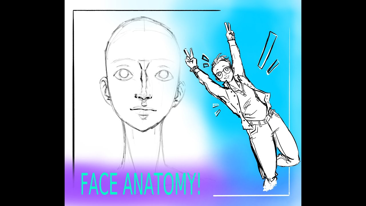 Basic Face Anatomy Digital Art Tutorial on Krita