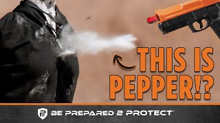 What Comes in the NEW P2P Secure 68P Pepper Defense Kit?