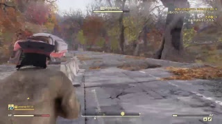 [ひよこ夫婦]Fallout76垂れ流しプレイ配信