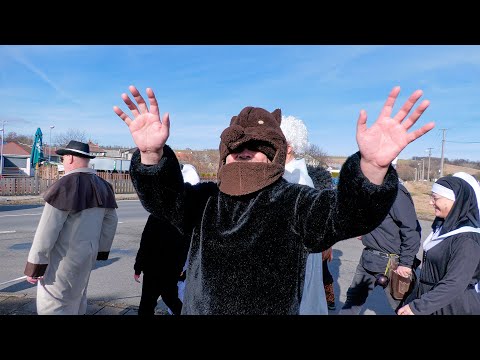 Medvědi probuzeni ze zimního spánku