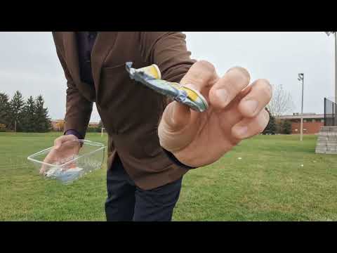 Episode 85 of Wednesday Wisdom -  GARBAGE IN PARKS -  Mattei Realty