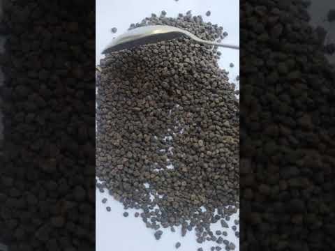 Green cardamom seed, pp bag, packaging size: 25 kg