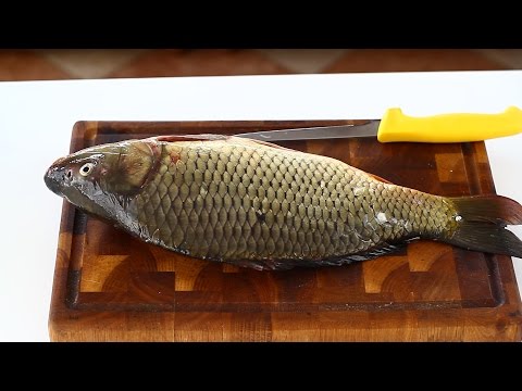 Cum se curăță și se filetează un crap, tutorial video