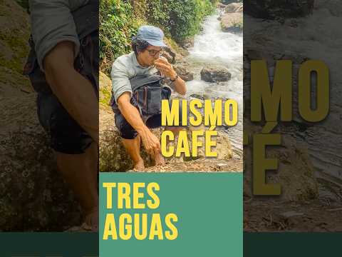 ¿Cambia el sabor de un café según el agua?