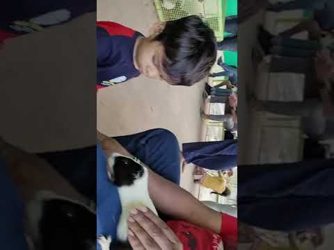 Maneet is feeding to bunny
