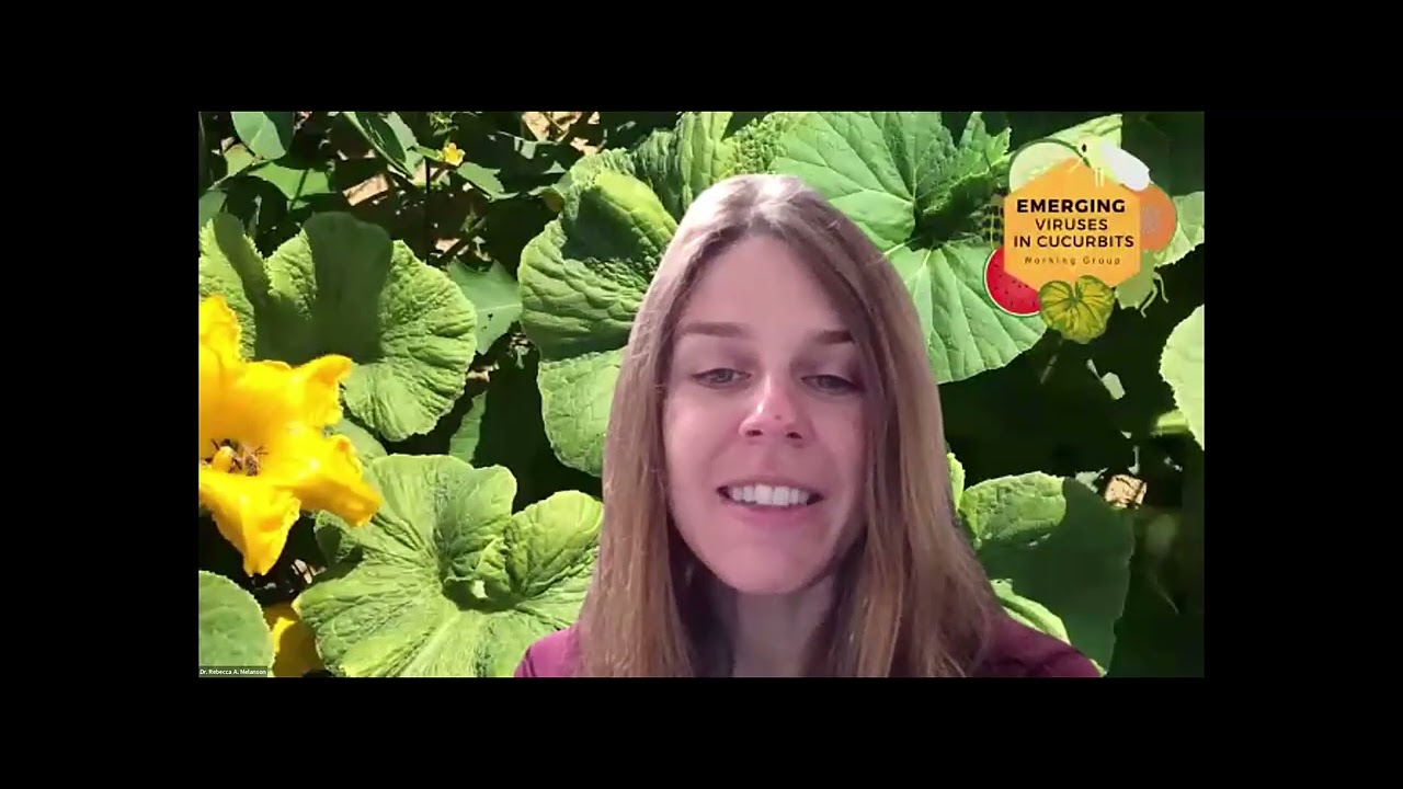 Q&A Session of Aphid-, Beetle-, and Thrips-transmitted Viruses in Cucurbits EVCWG 2026 Webinar #2
