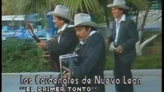 El Primer Tonto Lyrics English Translation