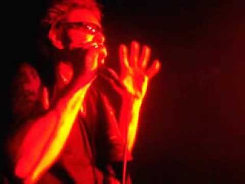 Anti Nowhere League, Animal