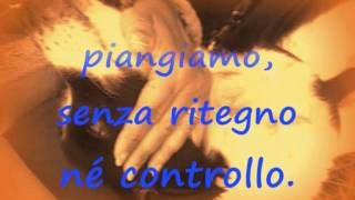 Quando un cane ci lascia  dedicato a chi ha perso il proprio cane