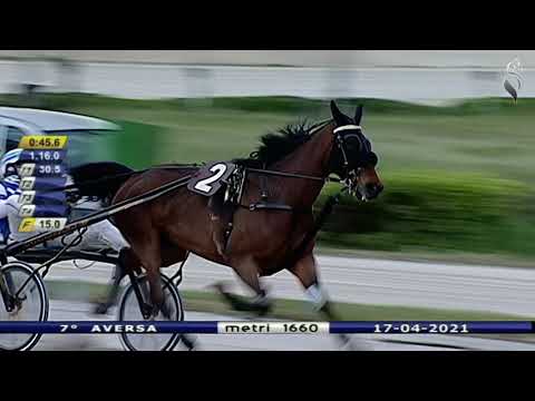 Aversa trotto 17 Aprile 2021 - 7° Corsa