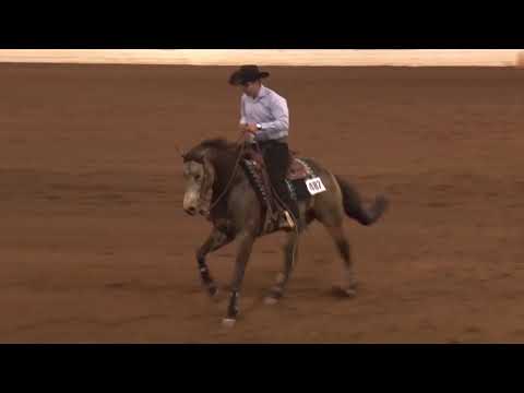 190125 Jorge Puente on Gotta Drinkinproblem Open