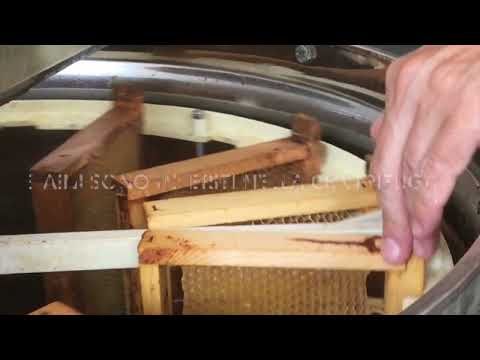 Sefro laboratorio smielatura cooperativa Monti Azzurri