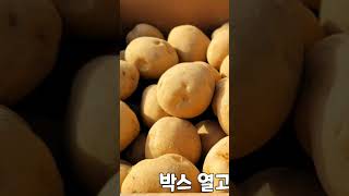 씨감자 눈틔우기 아래부분에 플레이 버튼 누러시면 상세정보 나옵니다 #shorts