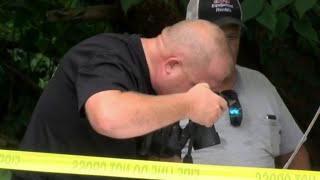 Gang members involved in Danville police chase