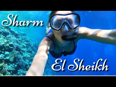 ✈️ THINGS TO DO IN SHARM EL SHEIKH