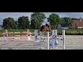Superbe Hongre de 8 ans - obstacle 140cm 