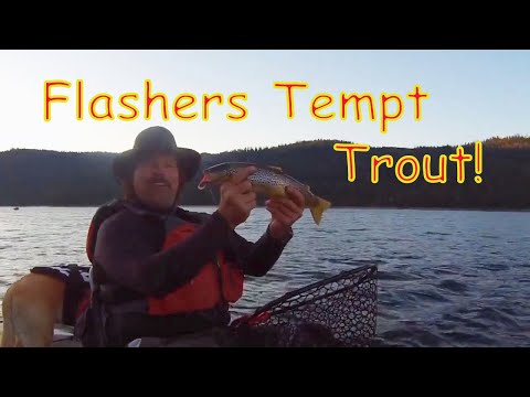 Trout: Let's Talk Flashers & Flasher Rigging