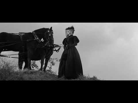 Quaranta pistole (S. Fuller): lamento funebre per Wes Bonnell