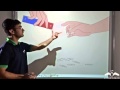 Magnetic Induction