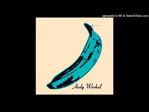 The Velvet Underground & Nico - I'll Be Your Mirror (Acapella)