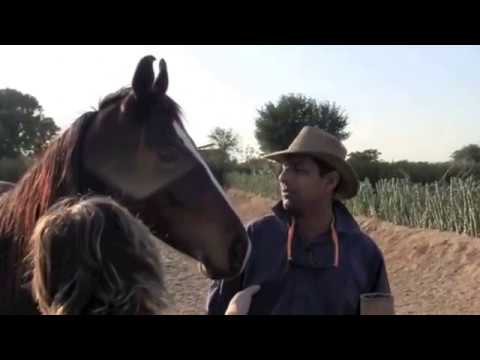 RAJASTHAN   Les princes du Marwar