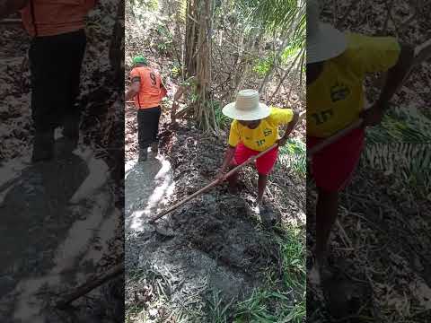 NASCENTE DE ÁGUA DOCE NO ASSENTAMENTO ELIZABETH TEIXEIRA EM SAPÉ PB