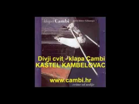 Divji cvit - klapa Cambi (K. Kambelovac)