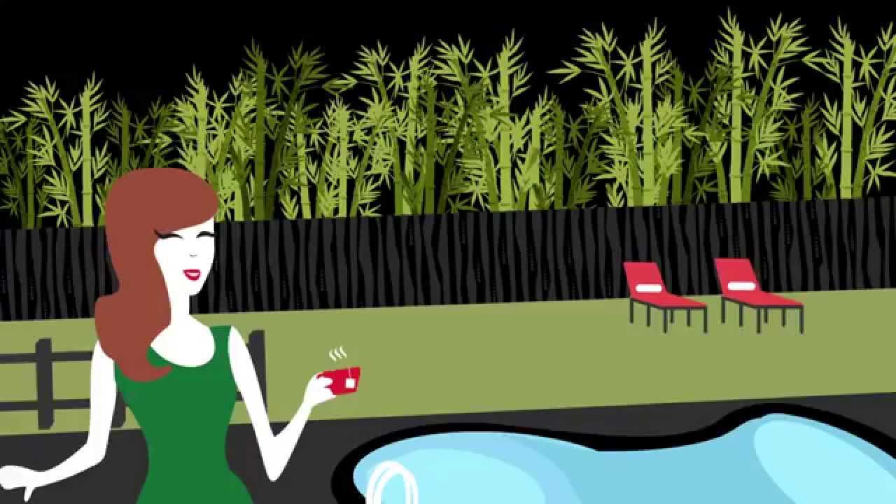 Greenscape Design & Decor