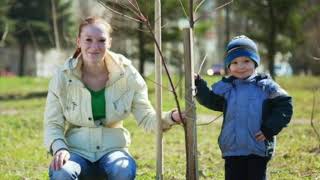 Ready to Grow Trees Advertising Campaign