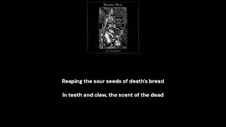 Machine Head - Wolves (D Tuning + Lyrics)