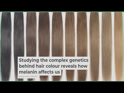 Studying the complex genetics behind hair color reveals how melanin affects us
