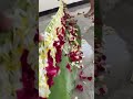 Home Decorating Ideas Nature Video Trend Shortvideo
