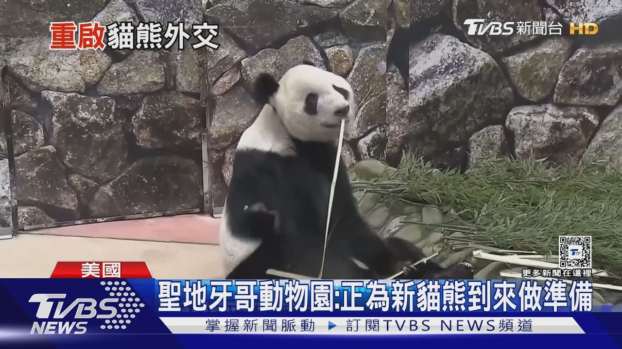陸重啟貓熊外交 美國與西班牙完成簽署