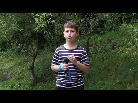 Andrei Gageatu, prezintă vremea în Tabăra TV Dicție.ro