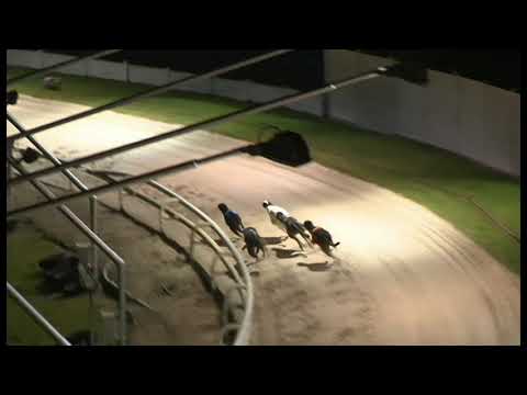 Sporting Dave - Coral Winter Derby - Heat 2