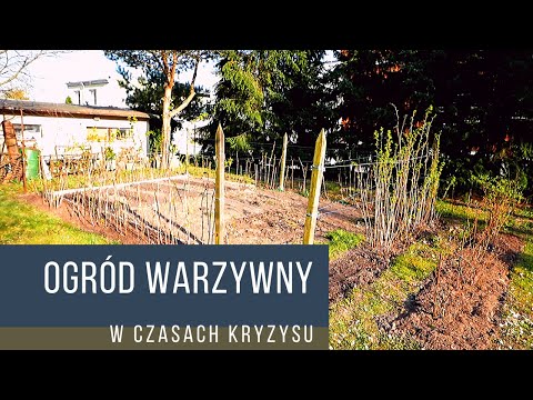 Ogród warzywny w czasach kryzysu