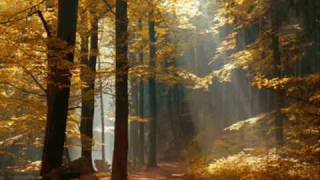 Alexis Ffrench- The Secret Piano