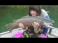 Video Thumbnail for Monster Brown Trout, Alberta, Catch and release, Fishinggeeks
