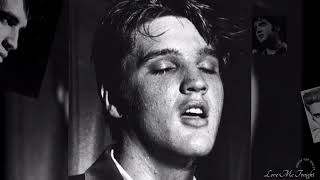 Love Me Tonight  Elvis  Presley