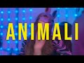 DUPLA - Animali (ft. Panxo Zoo)