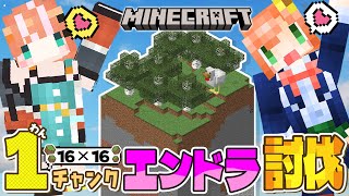 配信開始ワンチャンクとは - ꒰ マイクラ꒱ ワンチャンクチャレンジ!16×16だけの世界でエンドラ討伐j~? #ぽんぴりか ˹ 本間ひまわり/五十嵐梨花 にじさんじ ˼